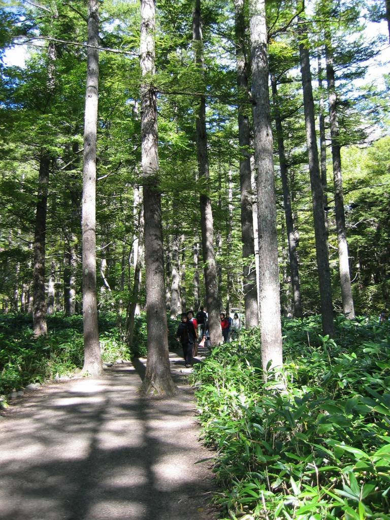 gal/Do-Nichi Kippu/Nagano - Kamikochi/109_0909.jpg